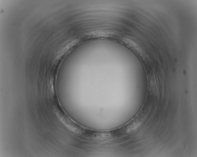 X0000074330398200609082037