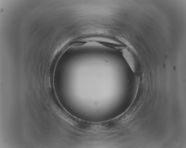 X0000074330399200609082037