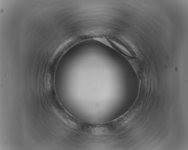 X0000074330400200609082037