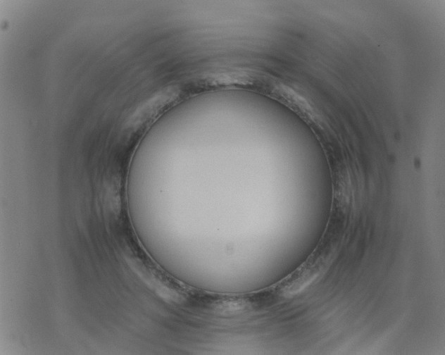 X0000074330402200609082037