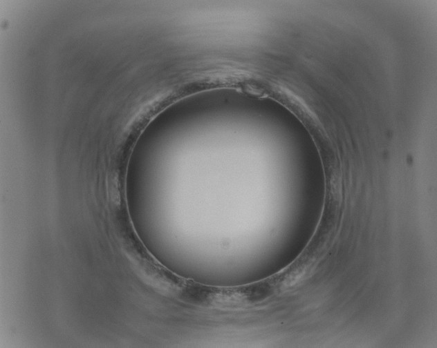 X0000074330403200609082037