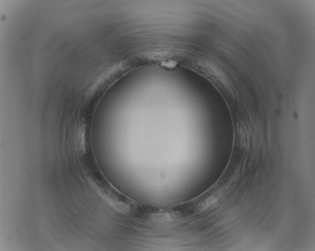 X0000074330404200609082037