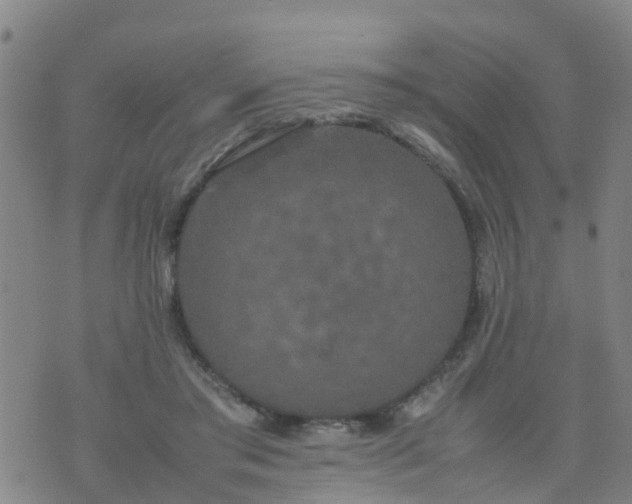 X0000074330405200609082037