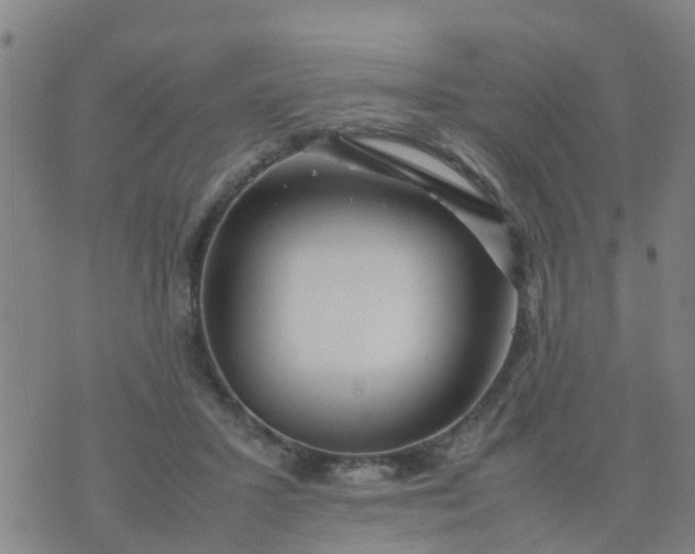 X0000074330407200609082037