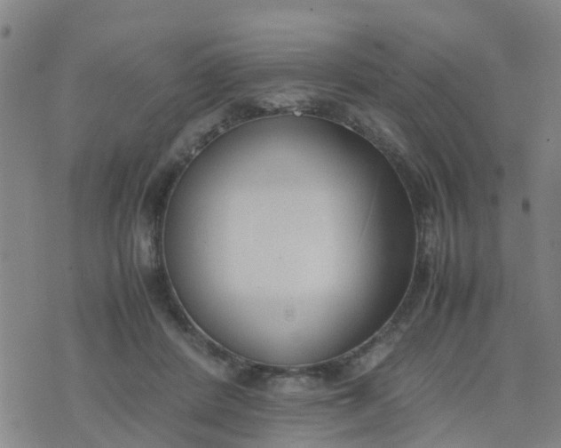 X0000074330408200609082037