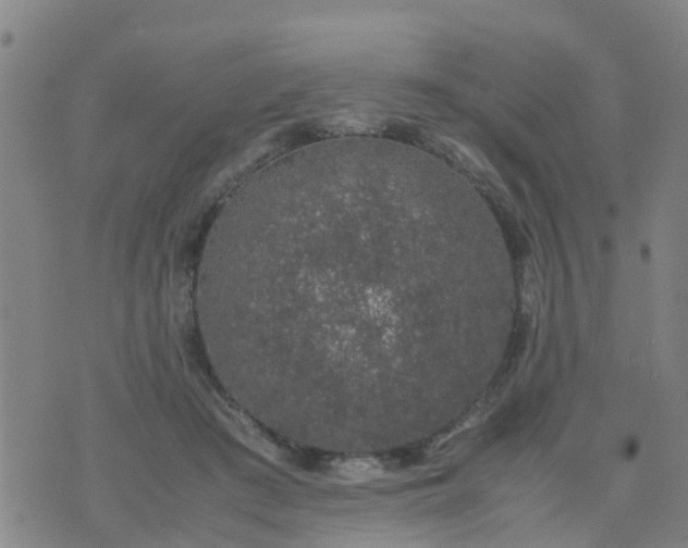 X0000074330409200609082037