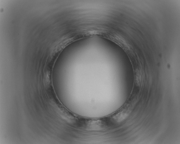 X0000074330410200609082037