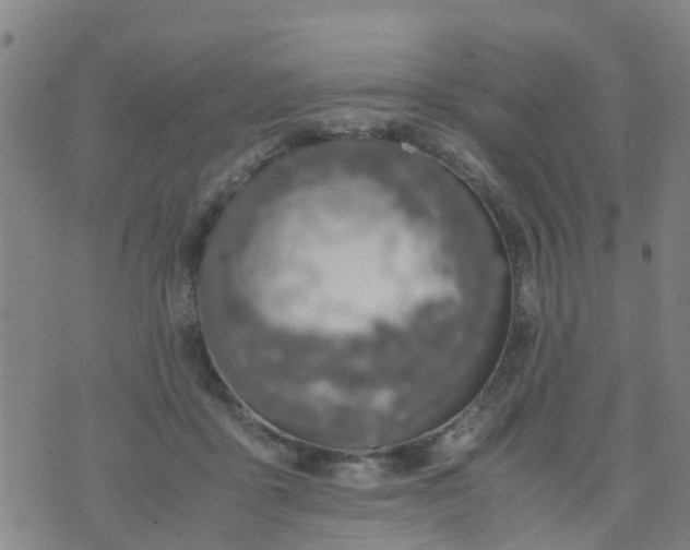 X0000074330411200609082037