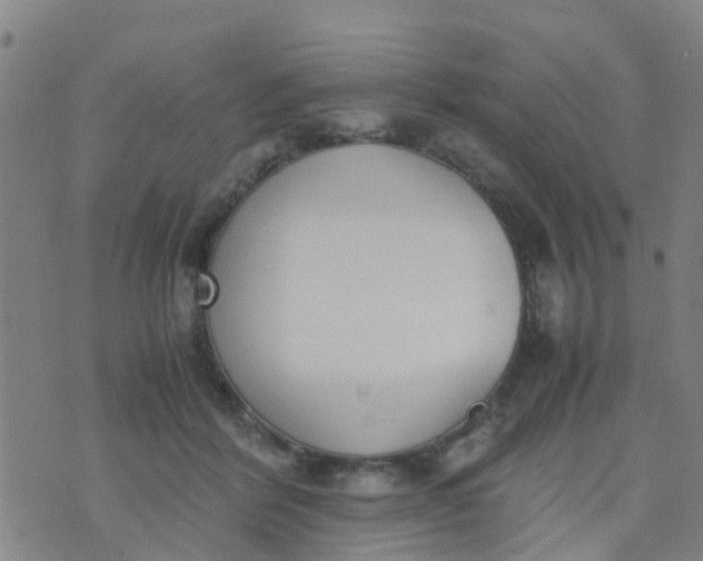 X0000074330412200609082037