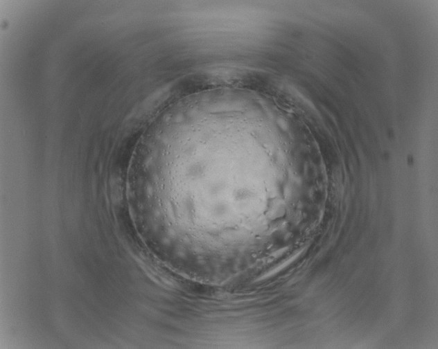 X0000074330413200609082037