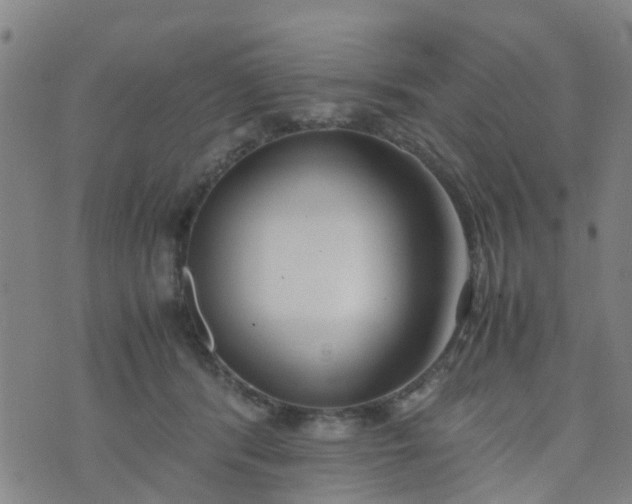 X0000074330416200609082037