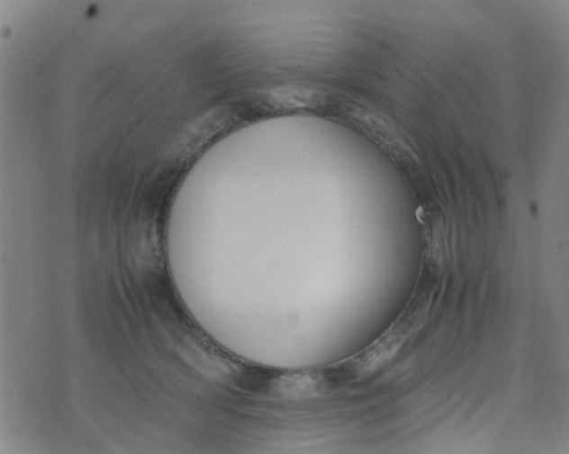 X0000074330418200609082037