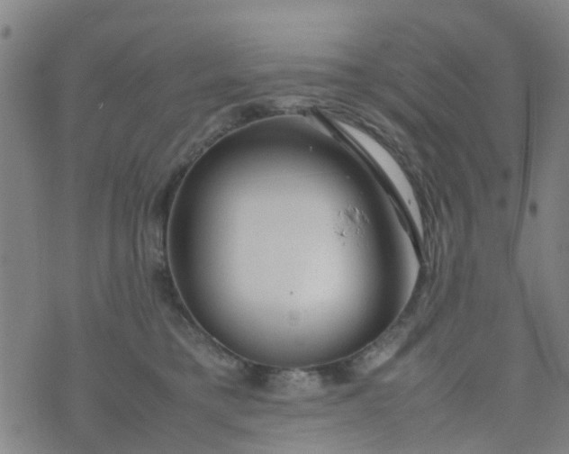 X0000074330421200609082037