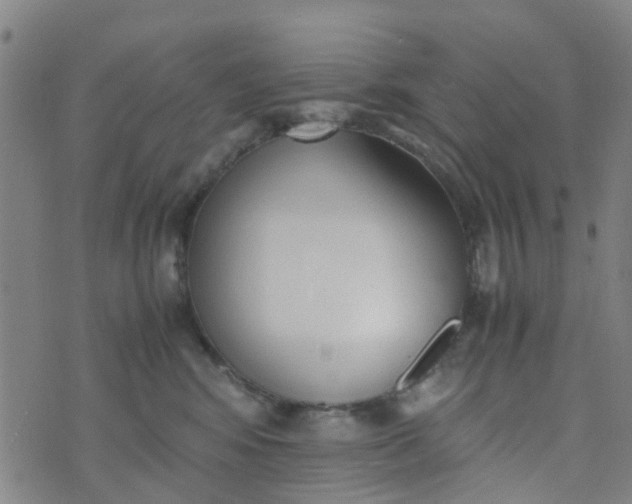 X0000074330424200609082037