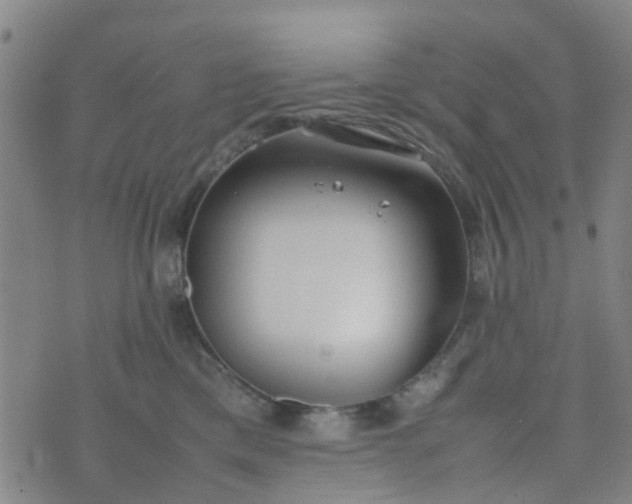 X0000074330425200609082037