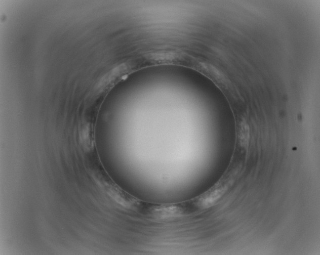 X0000074330428200609082037