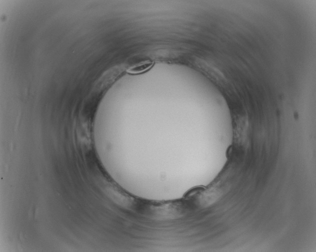 X0000074330430200609082037