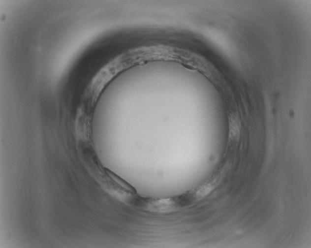 X0000074330431200609082037