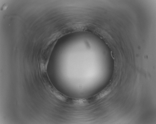 X0000074330432200609082037