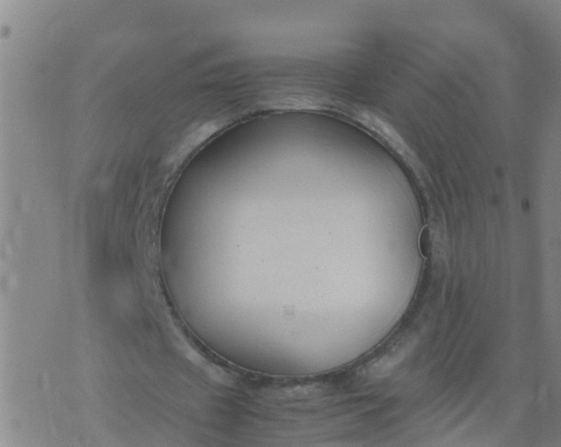 X0000074330433200609082036