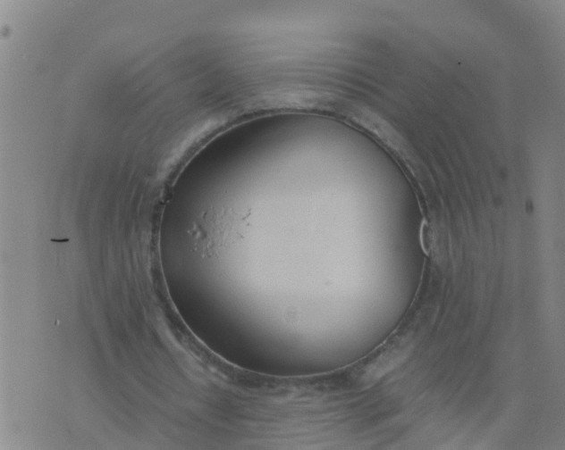 X0000074330434200609082036