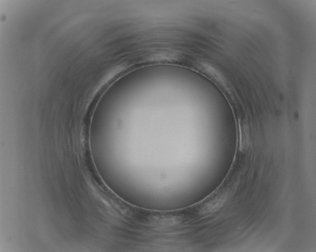 X0000074330435200609082036