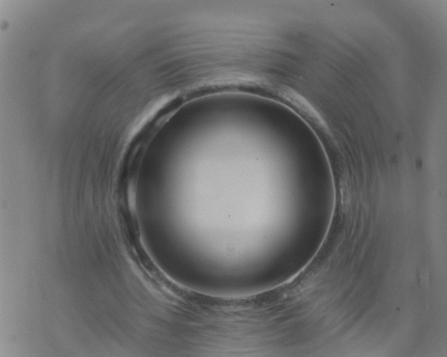 X0000074330436200609082036