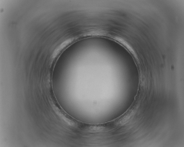 X0000074330437200609082036