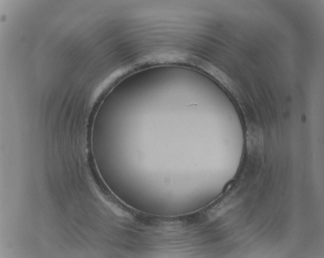 X0000074330438200609082036