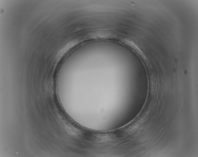 X0000074330439200609082036