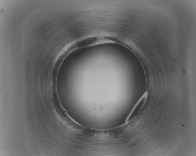 X0000074330440200609082036