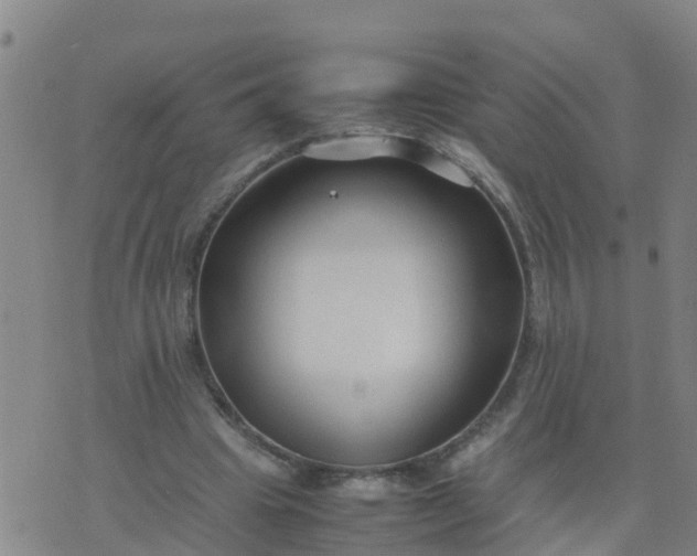 X0000074330441200609082036