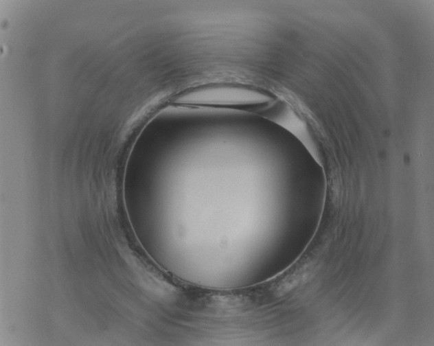 X0000074330442200609082036