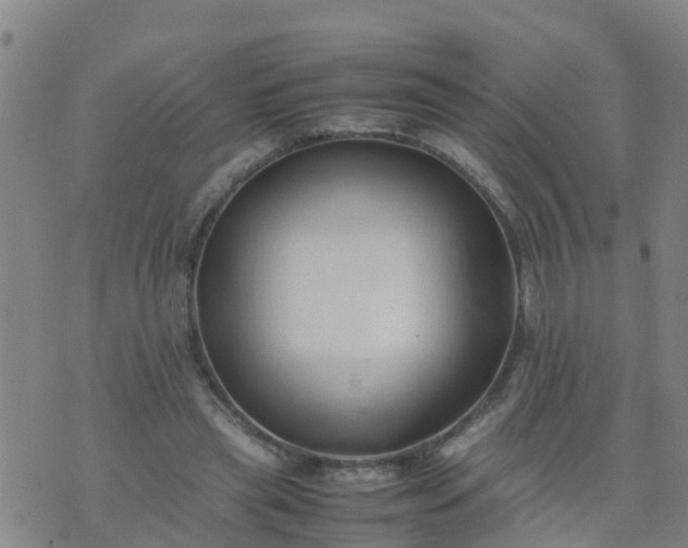 X0000074330445200609082036