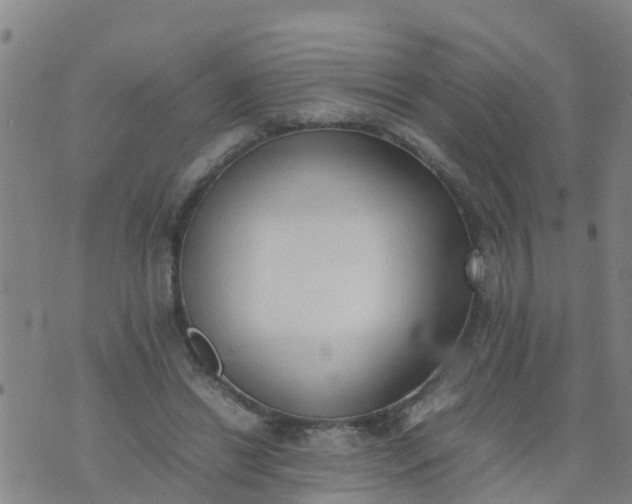 X0000074330446200609082036