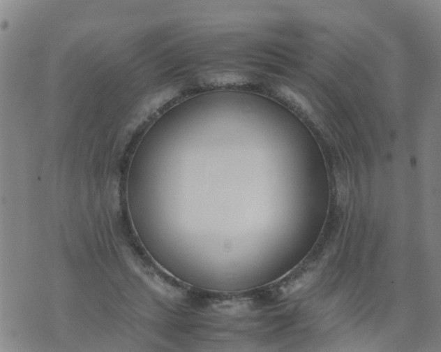 X0000074330447200609082036