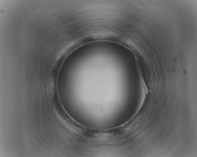 X0000074330448200609082036