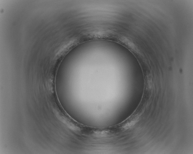 X0000074330450200609082036