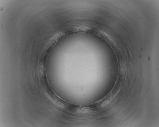 X0000074330451200609082036