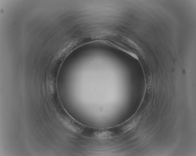 X0000074330452200609082036