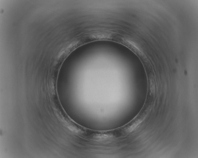 X0000074330453200609082036