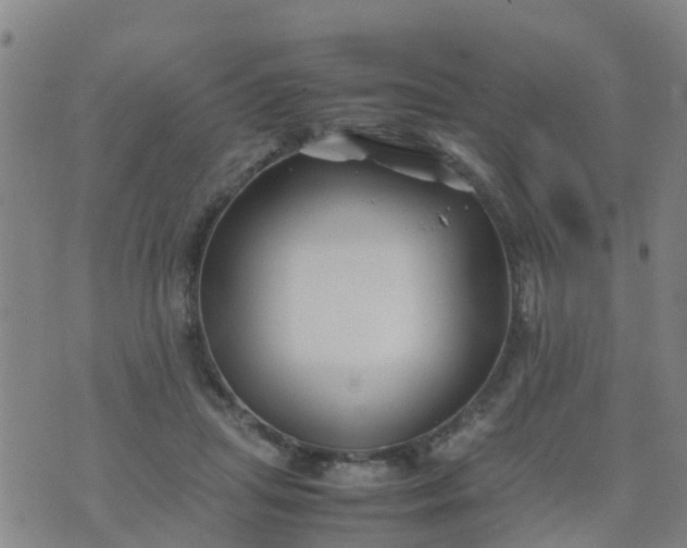 X0000074330455200609082036