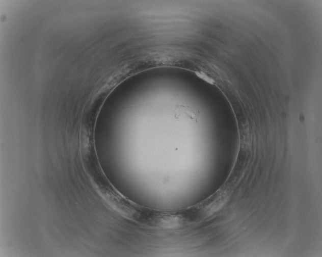 X0000074330456200609082036