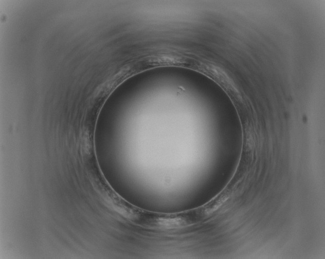 X0000074330457200609082036