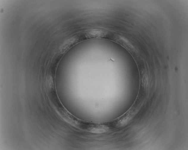 X0000074330459200609082036