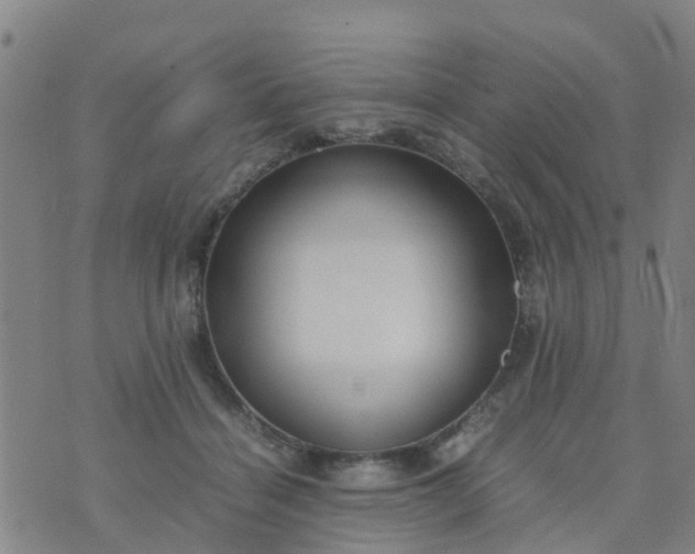 X0000074330460200609082036