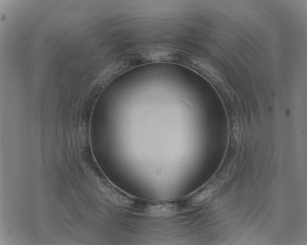 X0000074330461200609082036