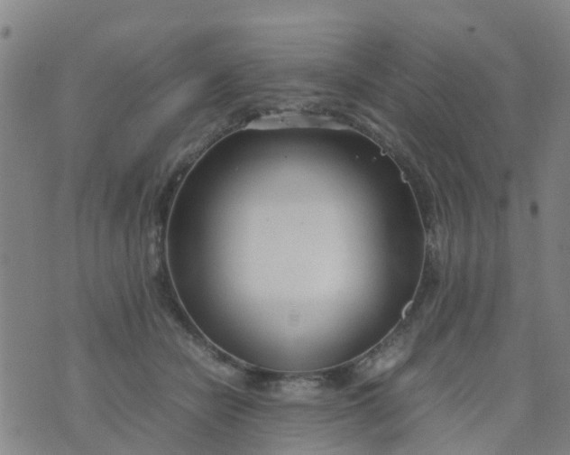 X0000074330462200609082036