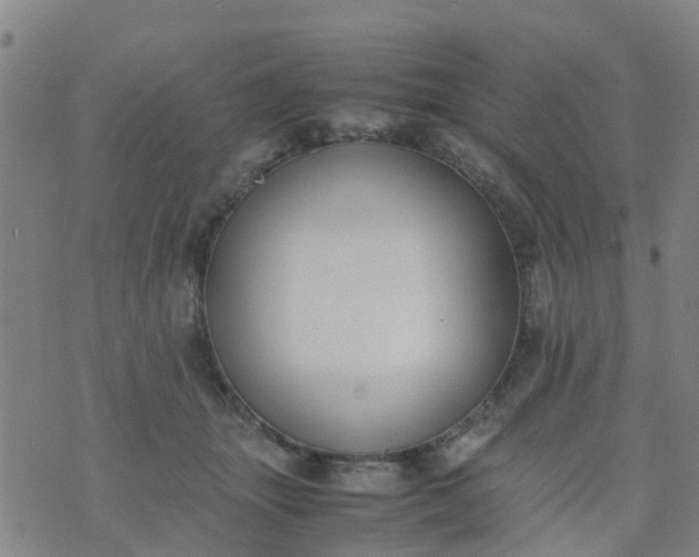 X0000074330463200609082036