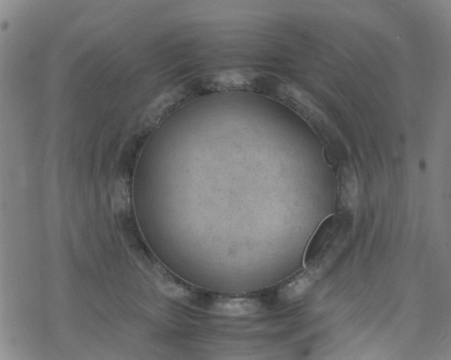 X0000074330467200609082036